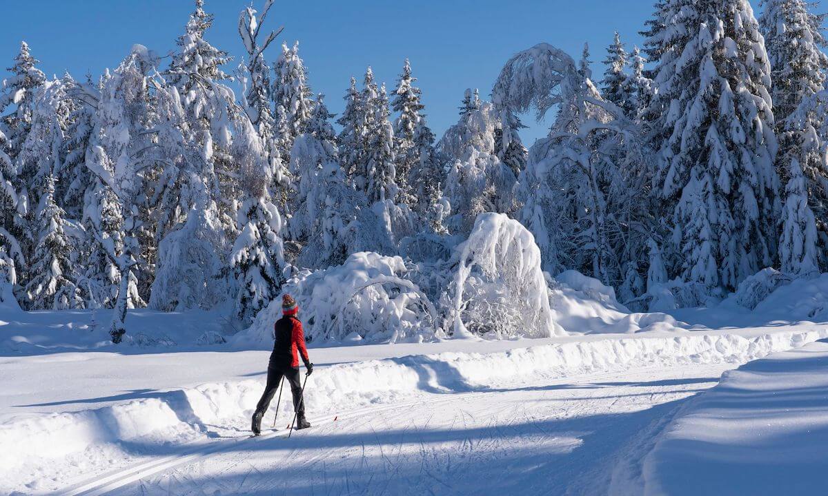 Skilanglauf im Allgäu